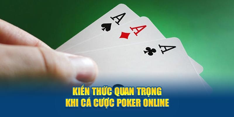 Kiến thức quan trọng khi cá cược poker online